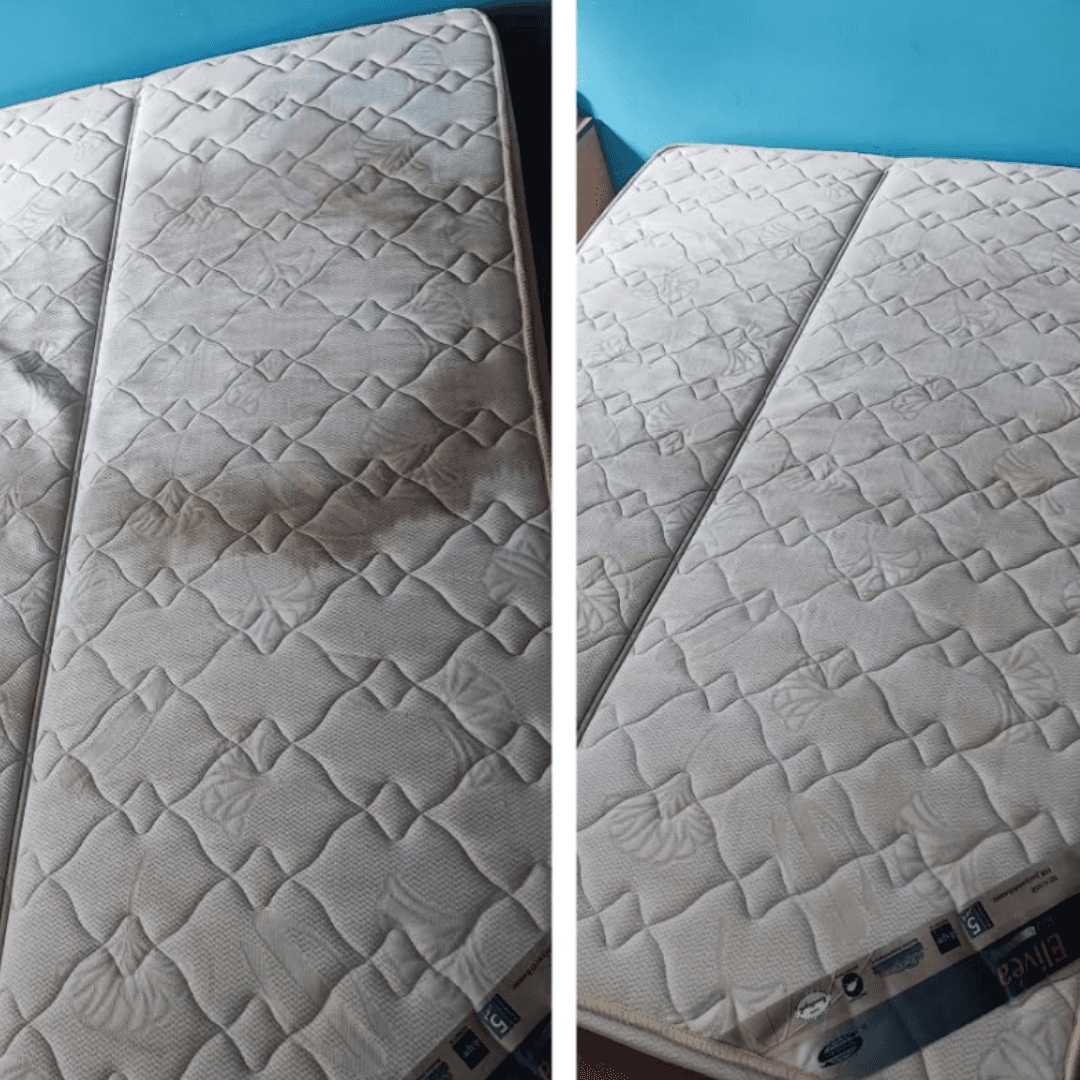 Matelas propre après intervention DKP France